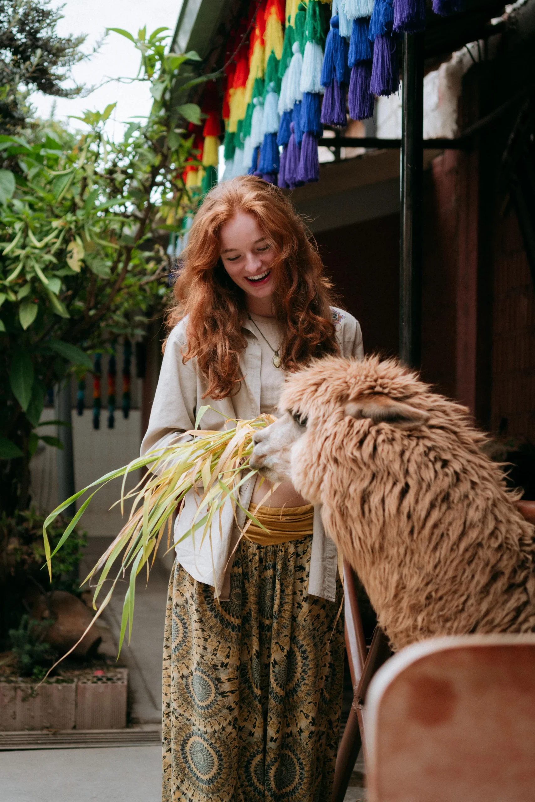 Woman interacting with a local and an alpaca in a traditional Andean setting.